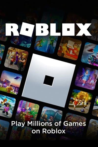 Roblox Developer